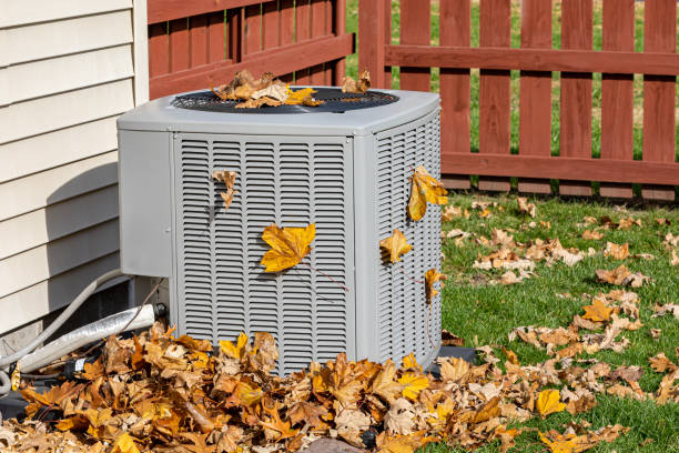 Best Seasonal HVAC Services in Vla Grove, IL